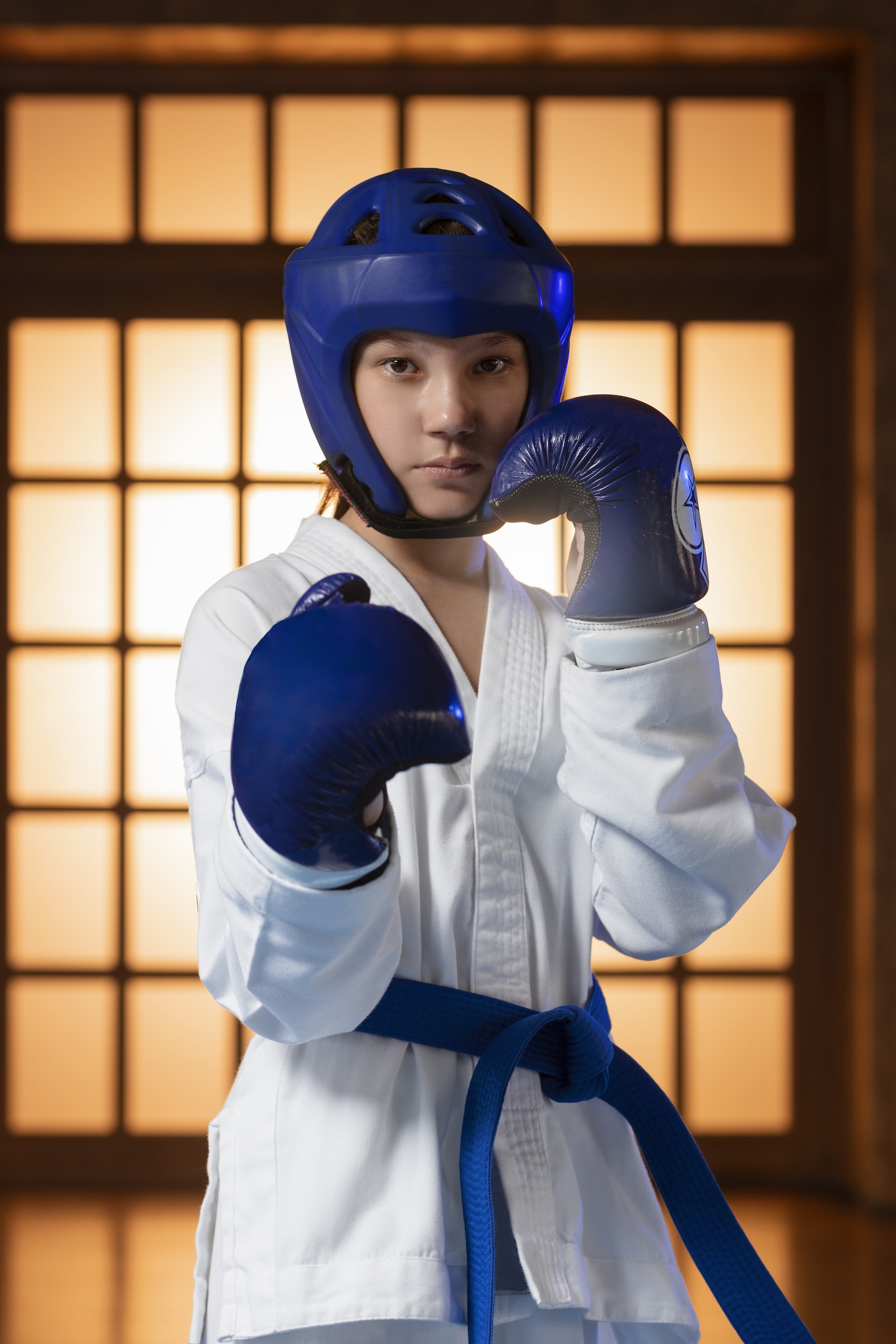 Martial Arts service category